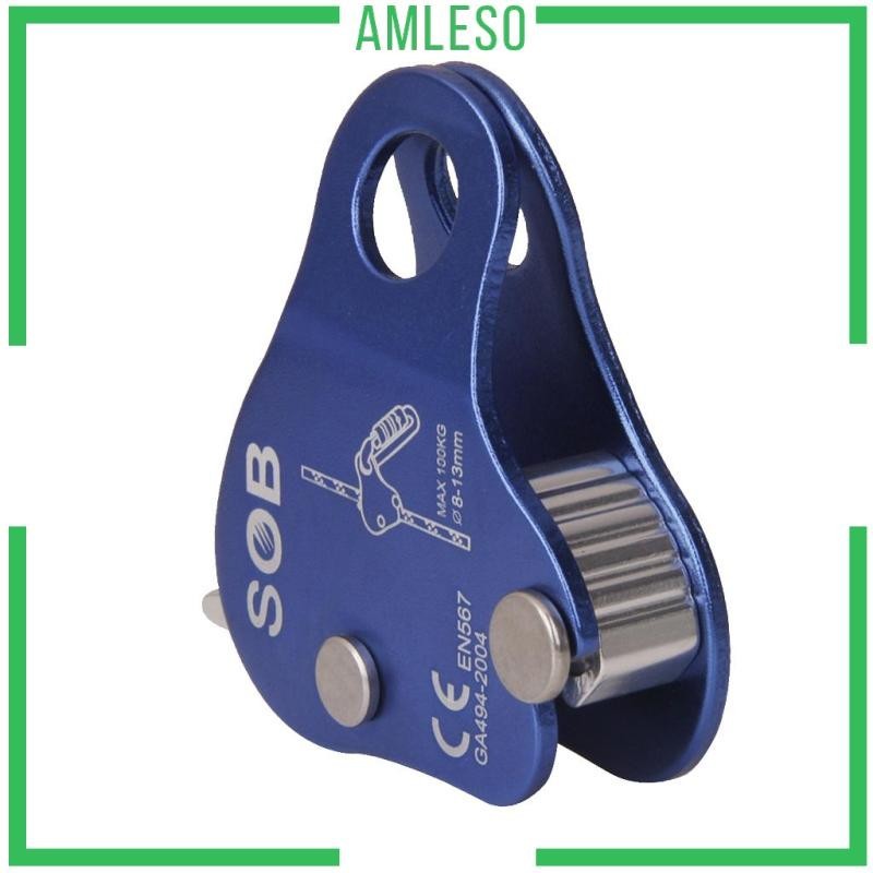 [ Amleso ] Rock Climbing Fall Protection Aluminium Rope Grab for 8mm-13mm Rope