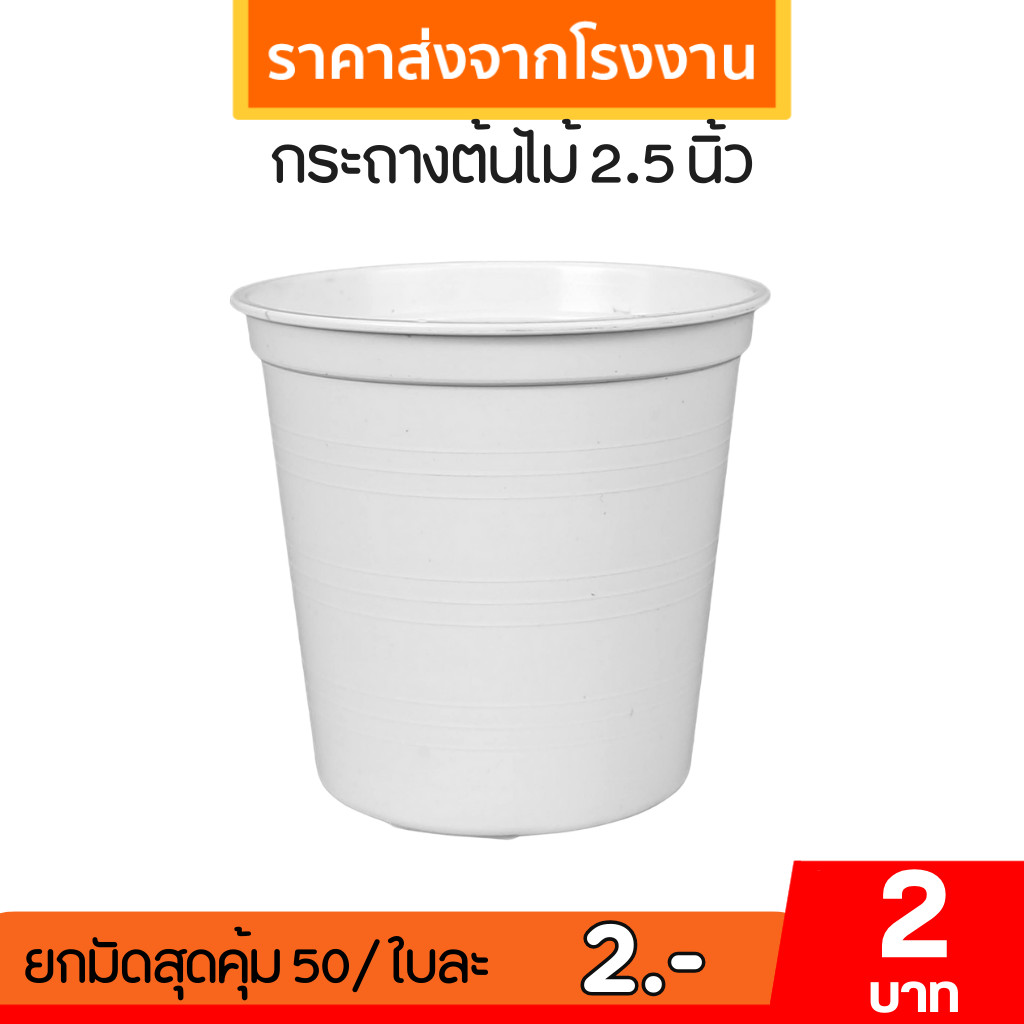 กระถาง กระถางต้นไม้ จานรองกระถางต้นไม้ 2 2.5 นิ้ว สีขาว ยกมัด 50 100 ใบ