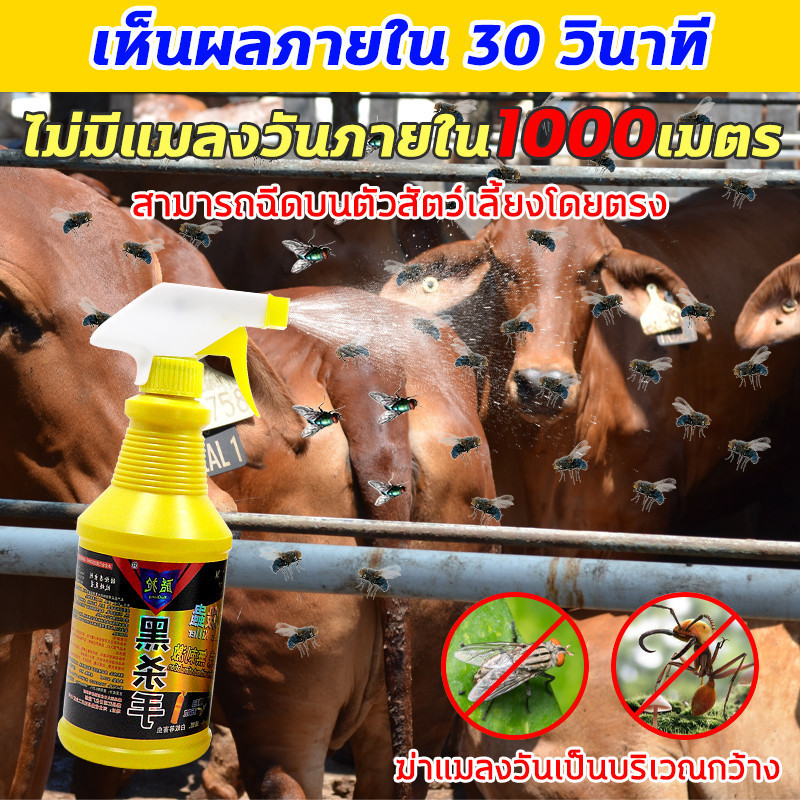ยาฆ่าแมลงวัน 500g ไม่มีกลิ่น สูตรอ่อนโยน ไม่ระคายเคือง ยาไล่แมลงวัน ไม่อันตรายต่อคนและสัตว์เลี้ยง ยา ฆ่า ฉีด ได้ผล100%
