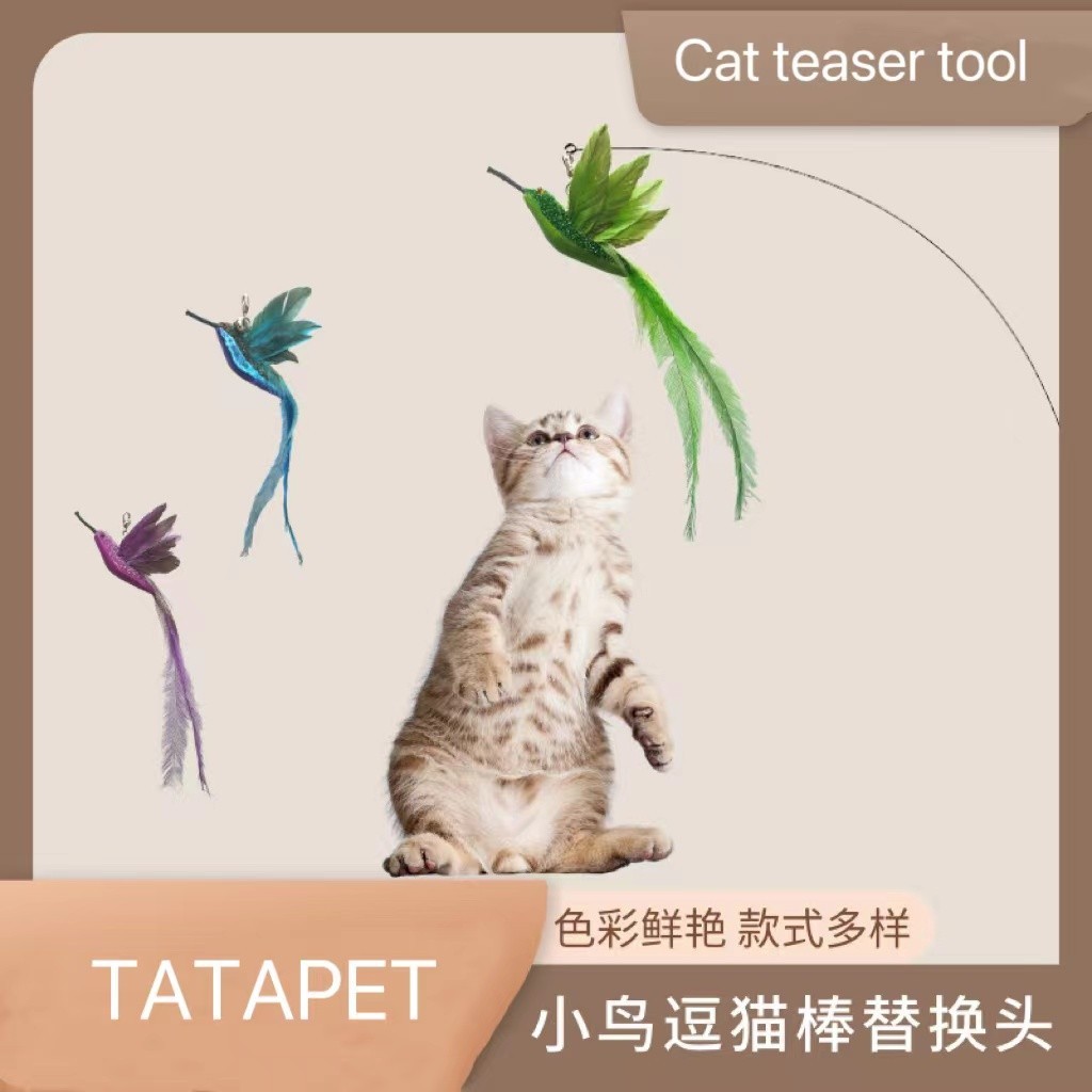 ของเล่นแมว Cat Stick Hummingbird เปลี่ยนหัว Feather Bird Cat Stick Bell ทนทานกัด Self Hi อุปกรณ์สําหรับสัตว์เลี้ยงขายส่ง