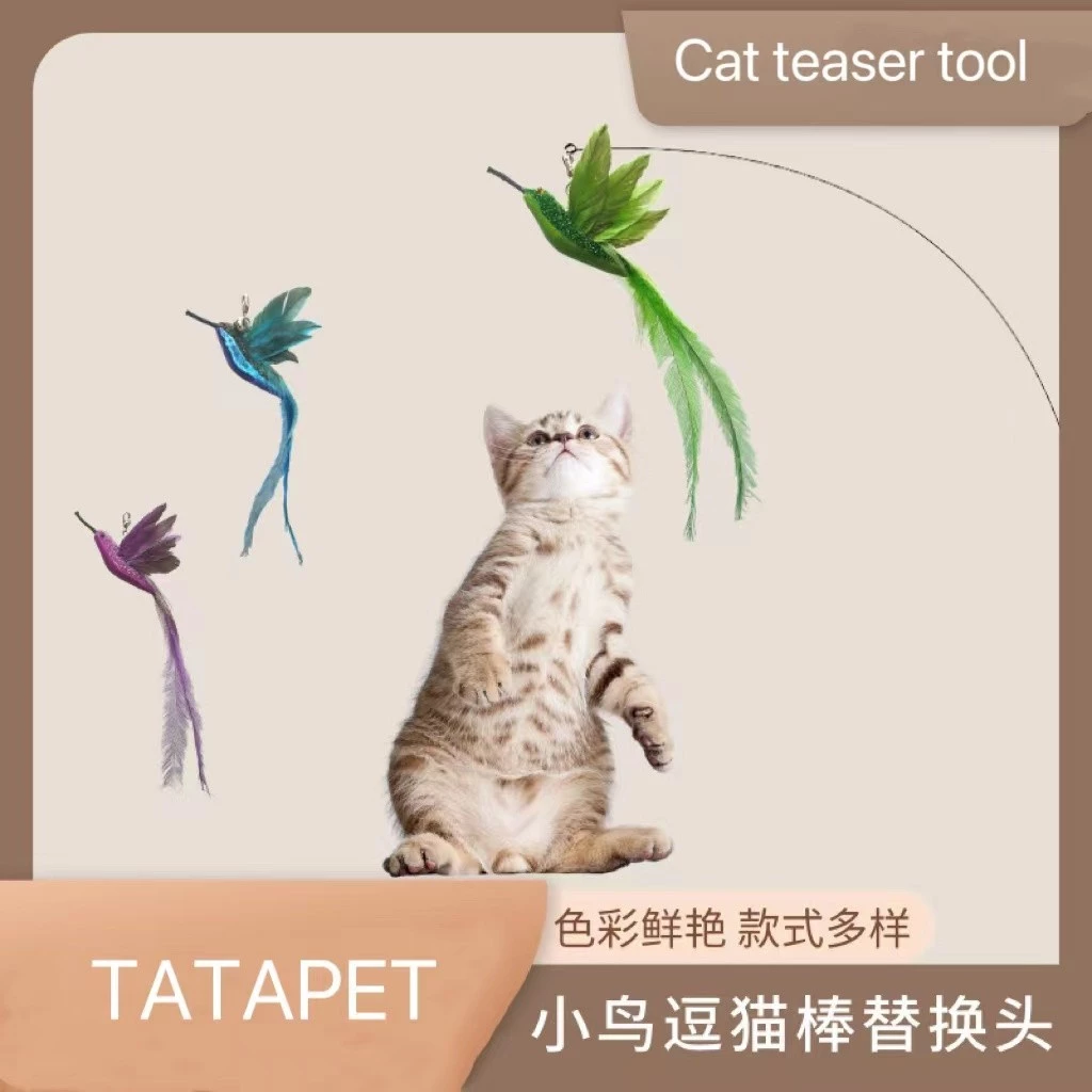 ของเล่นแมว Cat Stick Hummingbird เปลี่ยนหัว Feather Bird Cat Stick Bell ทนทานกัด Self Hi อุปกรณ์สําหรับสัตว์เลี้ยงขายส่ง