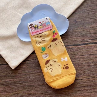 ฤดูใบไม้ผลิฤดูร้อนการ์ตูน Melody Cinnamon Dog Kuromi Hello Kitty Pacha Dog เกาหลี Dongdaemun ถุงเท้าสั้นผู้หญิง