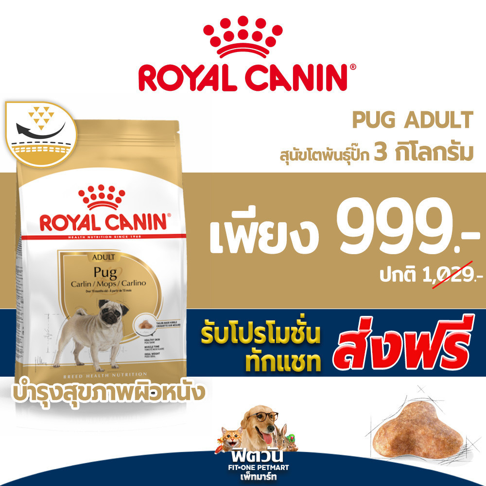 Royal Canin Pug Adult 3kg อาหารเม็ดสุนัขโต พันธุ์ปั๊ก อายุ 10 เดือนขึ้นไป (Dry Dog Food, โรยัล คานิน)