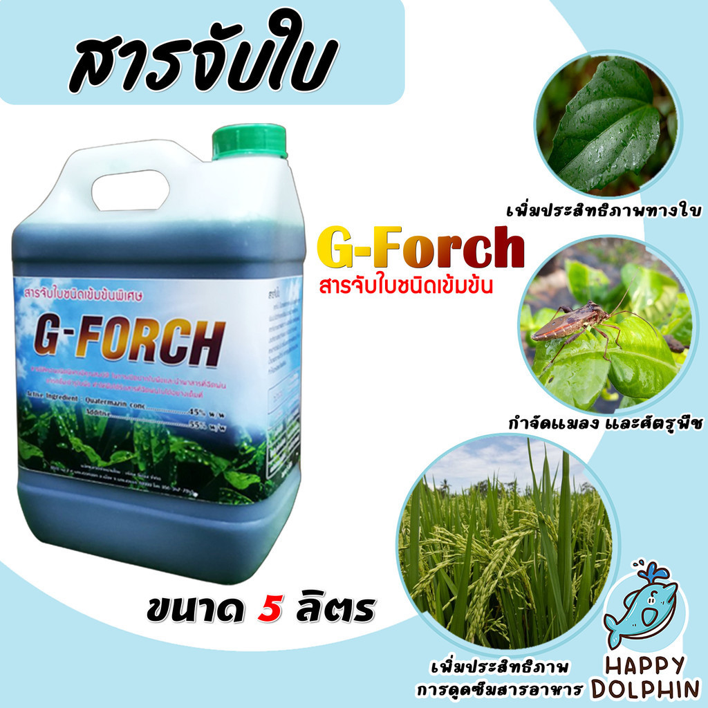 G-force และ Mountain สารจับใบเข้มข้นชนิดพิเศษ  ขนาด 5,25 ลิตร  ช่วยในการยึดเกาะพื้นผิว ทำให้น้ำยาแผ่กว้าง ดูดซึมได้ดี