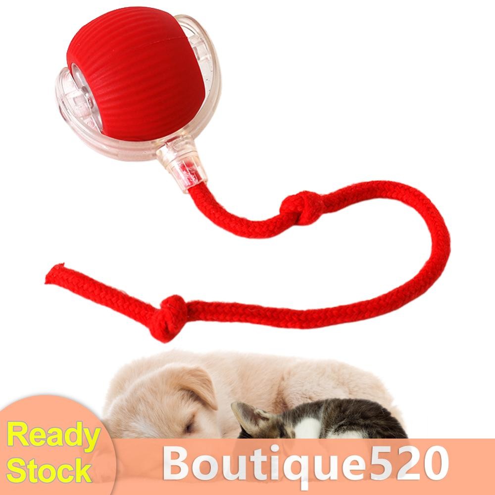 Uk Cat Interactive Ball ของเล่น Anti-Depression สัตว์เลี้ยงของเล่นชาร์จสําหรับแมวในร่ม [boutique520.th]