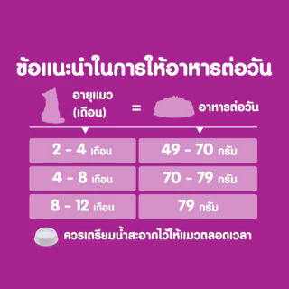 Whiskas อาหารเม็ดสำหรับแมว ขนาด 2.7 - 3kg