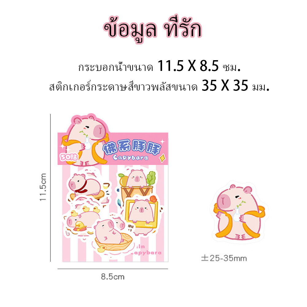 สติกเกอร์ Kapibala สติ๊กเกอร์ ปักเป้าน่ารัก เด็ก DIY ตกแต่งโทรศัพท์กรณีกระเป๋าถ้วย ฯลฯ สติกเกอร์การ์ตูน - รูปที่ 5