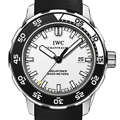 Iwc IWC Ocean Timepiece Series Stainless Steel Automatic Men 's Watch IW356811