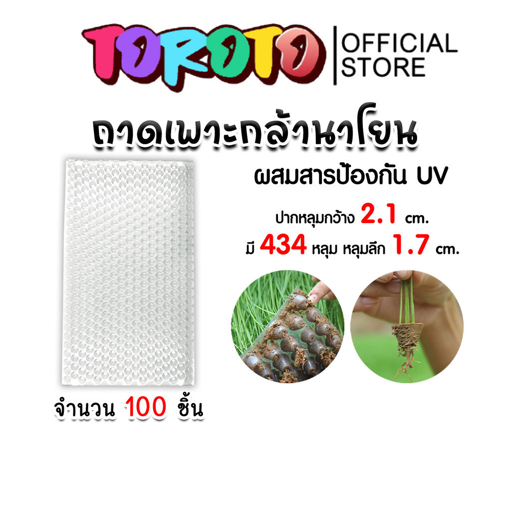 ถาดเพาะกล้านาโยน 434 หลุม แพ็ค 100 ชิ้น ถาดเพาะปลูก ถาดเพาะกล้า ถาดเพาะนาโยน เพาะกล้านาโยน กล้านาโยน