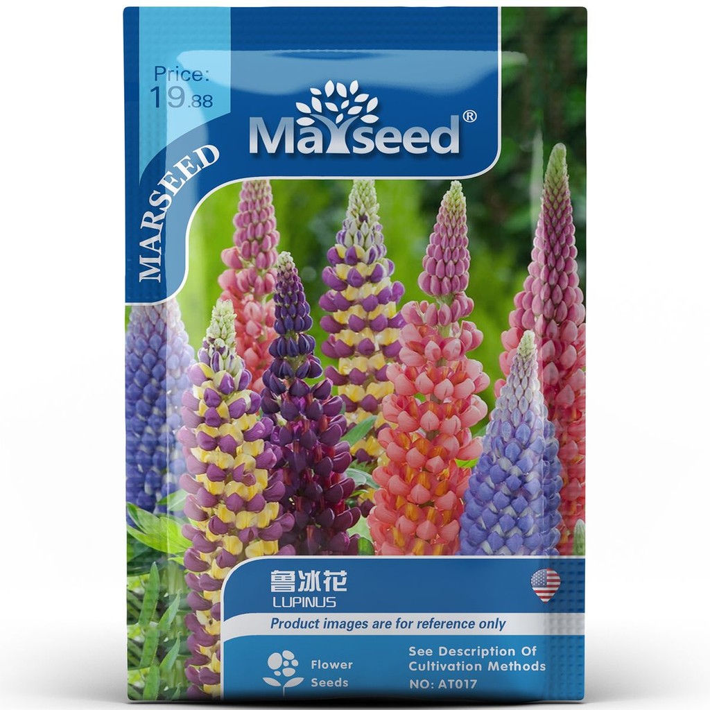 【ดอกไม้ใหม่】เมล็ดดอกไม้ Lupine ขอบดอกไม้ สีเขียวทะเล ง่ายต่อการปลูก เมล็ดดอกไม้ Lupine ในสวน