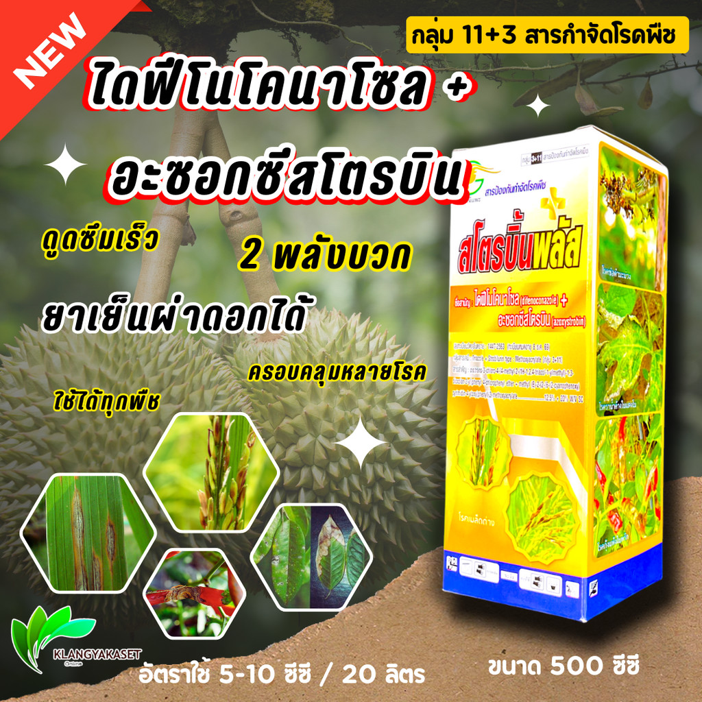 สโตรบิ้นพลัส  (ขนาด 500  ซีซี) อะซอกซีสโตรบิน + ไดฟีโนโคนาโซล สารป้องกันกำจัดเชื้อราประสิทธิภาพสูง ด้วยสารออกฤทธิ์สองชนิ