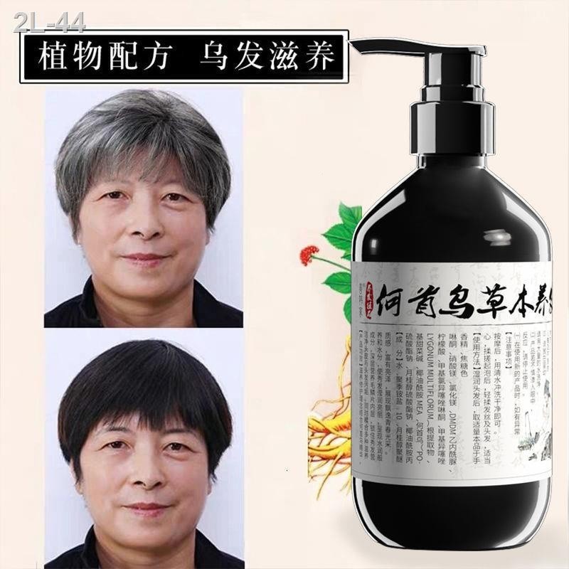Polygonum Multiflorum Extract Anti Hair Loss Hair Turning Black Shampoo 300มล