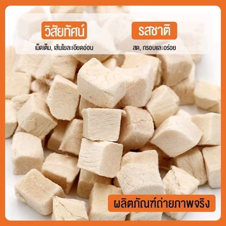 🐶 ขนมแมว😻 อกไก่เต๋า ขนมฟรีซดราย Freeze-Dried ไก่ฟรีซดราย ขนมสุนัข ไก่ฟรีซดรายแมว 100%ฟู้ดเกรด