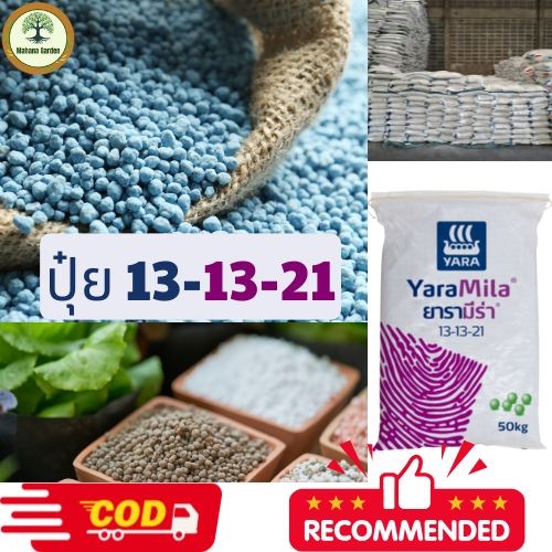 ปุ๋ย 13-13-21 - สมดุลสารอาหาร ช่วยให้พืชออกดอกแข็งแรง ติดผลดี ปรับปรุงคุณภาพและความหวานของผล