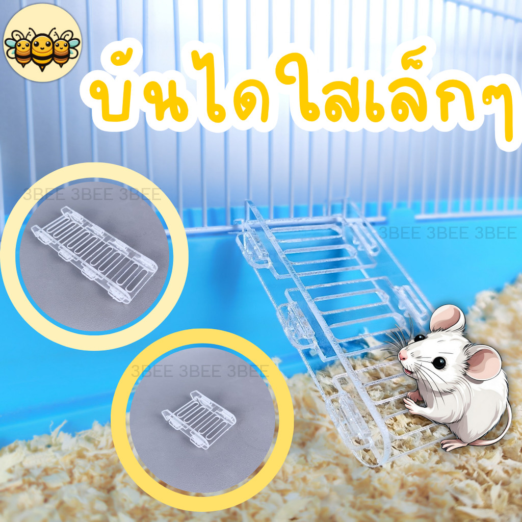 3B บันไดใสสัตว์เล็ก บันไดหนูแฮมสเตอร์