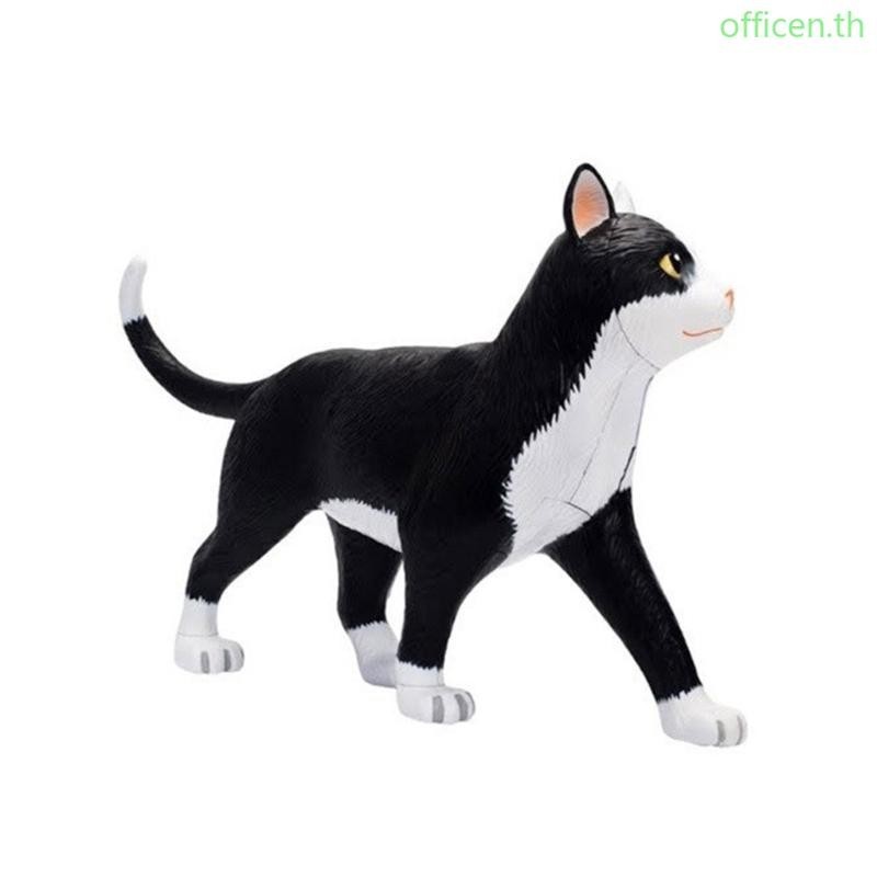 Cen 4D Black White Cat Anatomy Model Animal Biological Organs Model for Teaching