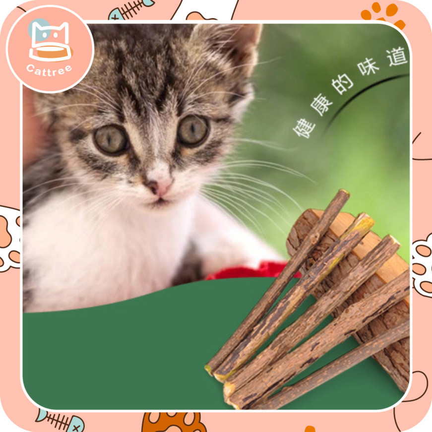 catnip สำหรับแมว ช่วยขัดฟัน ลดอาหารคันฟัน ของเล่นแมว ที่กัดเล่น สกัดจากธรรมชาติ