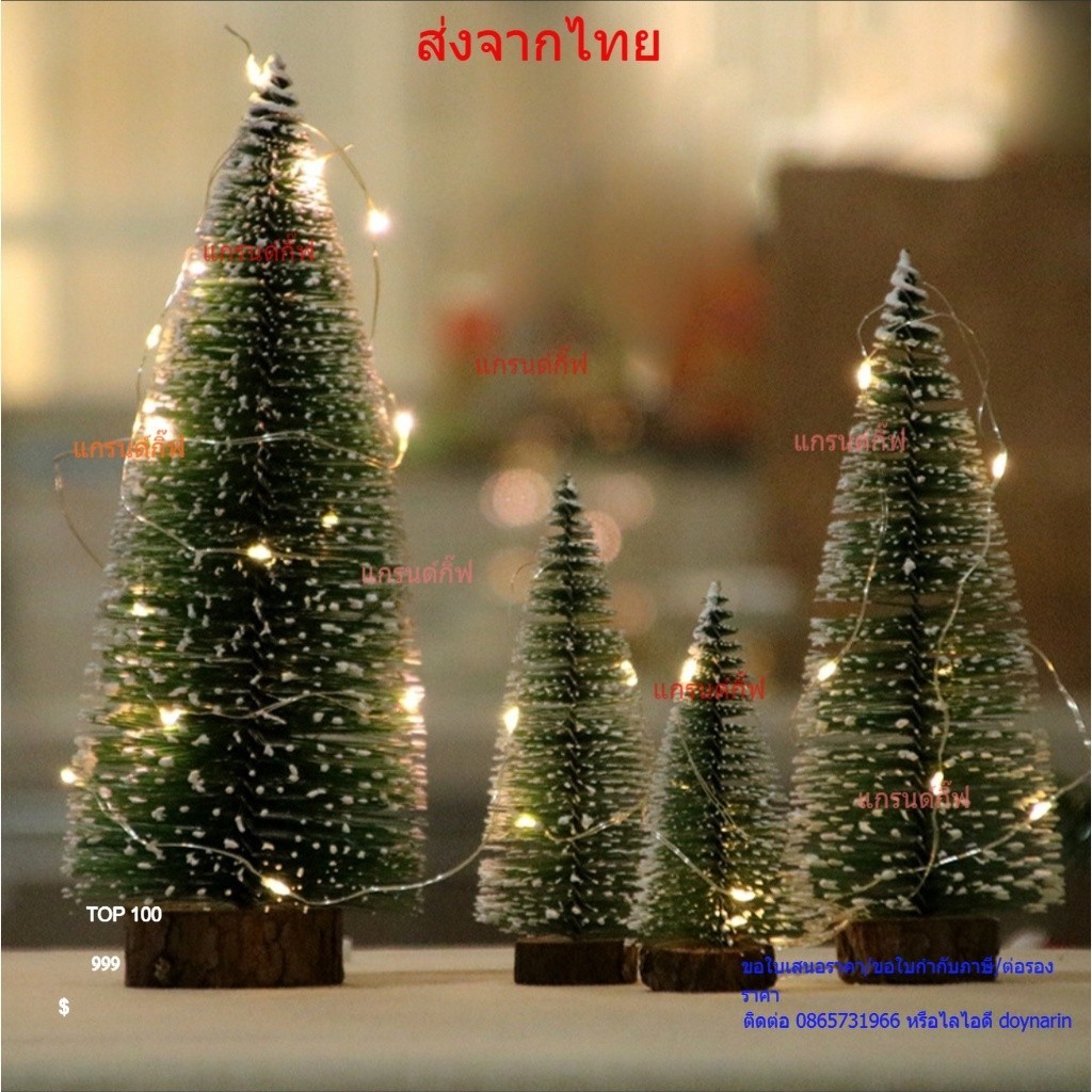 ต้นคริสมาส ต้นสน ต้นคริสมาสขนาดเล็ก 10*5 cm 15*6cm 20*8cm 25*10cm 30*12cm พร้อมส่ง มีบริการเก็บเงินปลายทาง