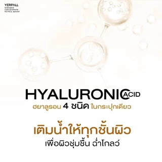 ครีมโสม Hya Yerpall [📍พร้อมส่ง | สูตรใหม่ล่าสุด‼️] Hya Yerpall Intensive Ginseng Hya Vitamin Night Cream