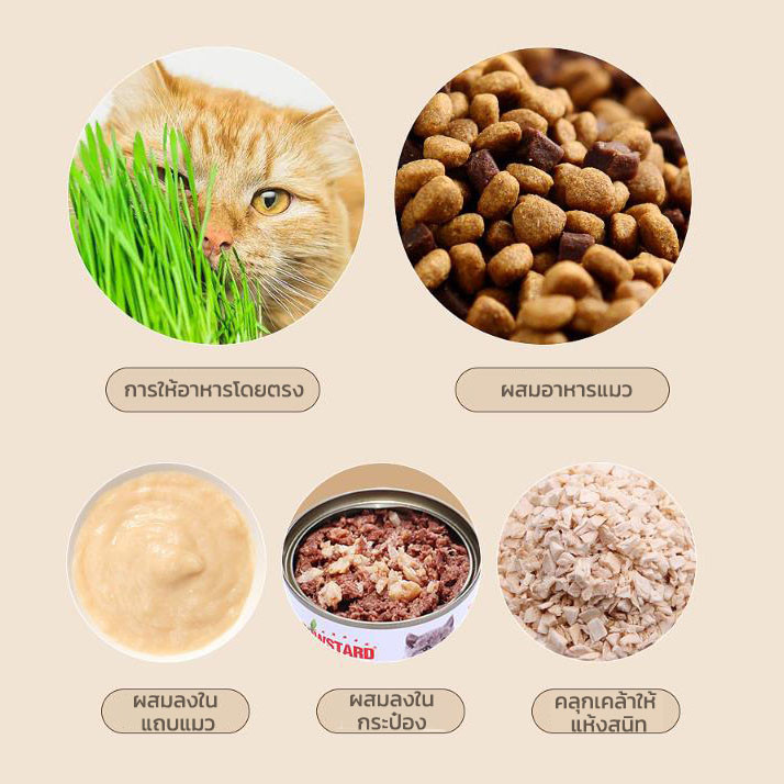 😻🌱ชุดปลูกหญ้าแมว หญ้าแมวออแกนิก ถาดเพาะต้นอ่อน ใช้ใหม่ได้ ไฮโดรโปนิกส์ - รูปที่ 5