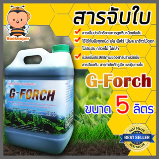 G-force และ Mountain สารจับใบเข้มข้นชนิดพิเศษ ขนาด 5 ลิตร ช่วยในการยึดเกาะพื้นผิว ทำให้น้ำยาแผ่กว้าง ดูดซึมได้ดี