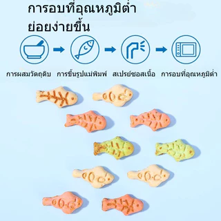 ขนมหญ้าแมว อาหารลูกแมว 1KG ผลิตจากต้นอ่อนข้าวสาลี การอบที่อุณหภูมิต่ำ มีเนื้อและหญ้า ช่วยสำรอกก้อนขน