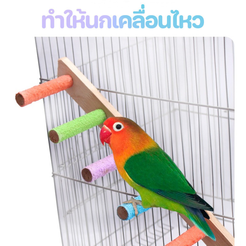 พร้อมส่ง🦜บันไดนกแก้ว 4/6/8ขั้น ของเล่นนก ของเล่นบันไดกรงนก ติดตั้งง่าย บันไดติดข้างกรงสัตว์เลี้ยง
