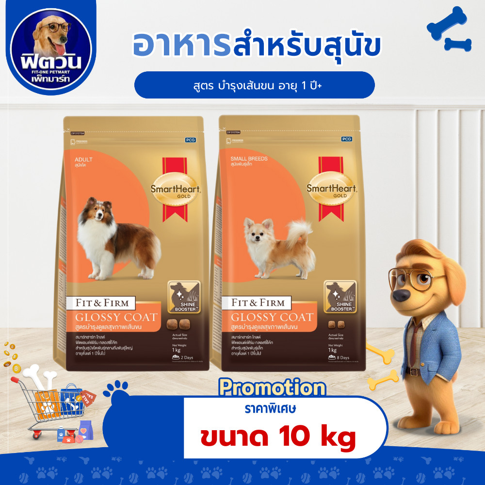 Smartheart-Gold (Fit&Firm) Glossy Coat สุนัขโต 1ปี+ สูตรบำรุงเส้นขน 10kg