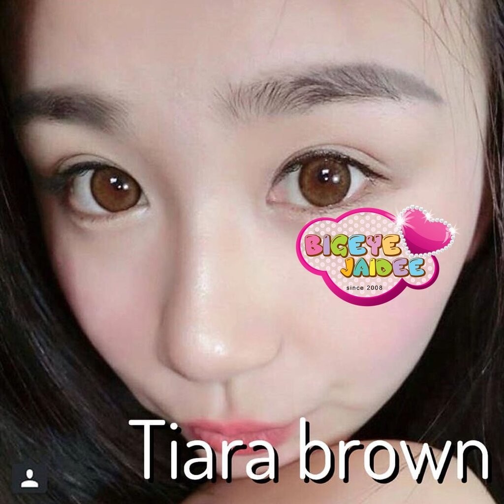 WinkWow Dali / Tiara Eff.19 Brown ใหญ่