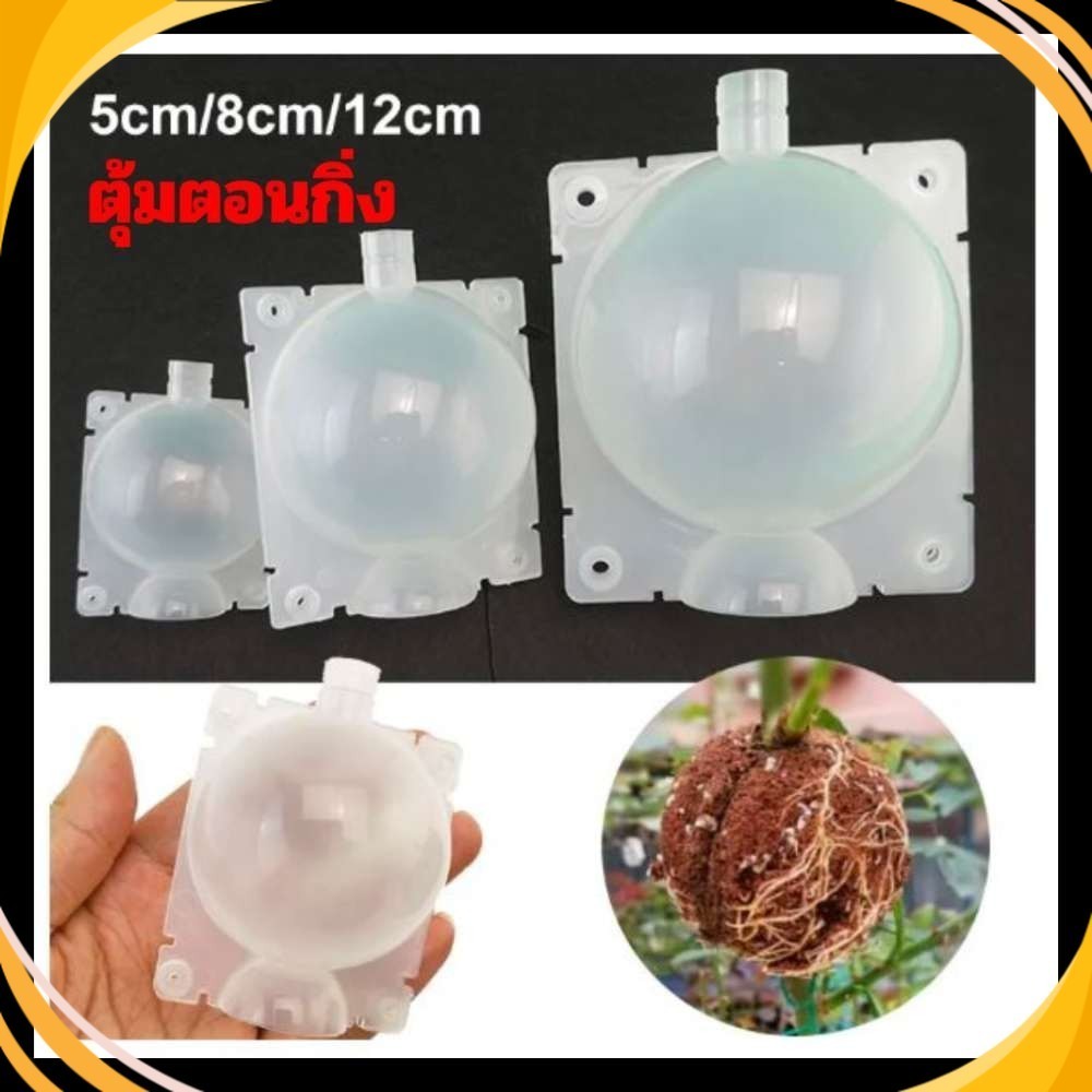ตุ้มตอนกิ่ง ตอนกิ่ง มีที่ล็อคในตัว ตุ้มตอนพลาสติก แบบหนา มี 3 ขนาด ขาวโปร่ง แข็งแรง ทนทาน ใช้ซ้ำได้