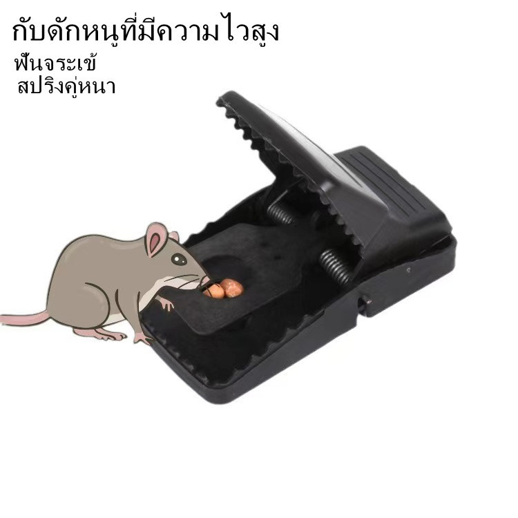ที่ดักหนู แบบสปริง อุปกรณ์ดักหนู เหยื่อดักหนู สารกำจัดหนู กับดักหนูสปริง