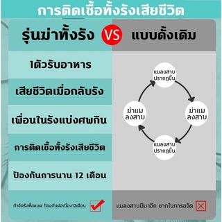 ยากำจัดแมลงสาบ 1.5 กรัม x 18 ชิ้น กำจัดแมลงสาบ บ้านแมลงสาบ ที่ดักแมลงสาบ Black cap บล็อคแคปซูลฆ่าแมลงสา A185