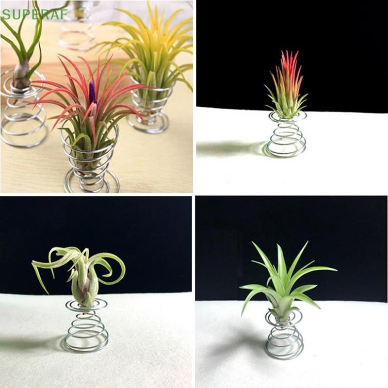 Superaf 6 ชิ้นกระถางดอกไม้สแตนเลส Air Plant Stand คอนเทนเนอร์ Tillandsia ผู้ถือ HOT