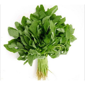 [10แถม1คละได้] เมล็ดพันธุ์ ผักโขมเขียว เมล็ดผักสวนครัว 1000-3000 เมล็ด มีคู่มือปลูก