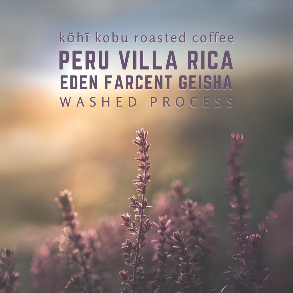 [เกชาเปรูประตูสู่เอเดน] Peru Villa Rica Eden Farcent Geisha Washed | เมล็ดกาแฟเปรูเกชาคั่วสดใหม่