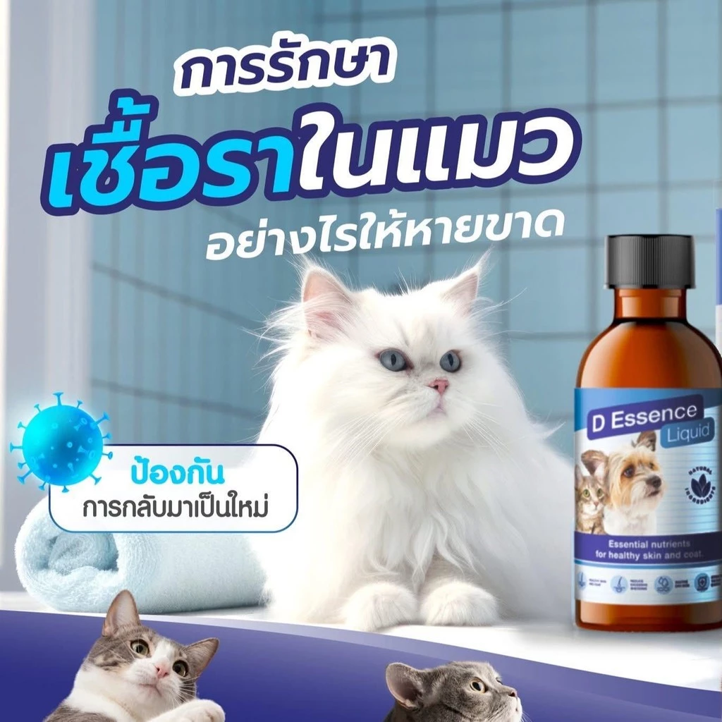 D Essence Liquid น้ำมันบำรุงผิวหนังและเส้นขน อร่อย ชนิดน้ำ แถมทิชชู่เปียกกลิ่น Original 20 แผ่น 1 ห่อ พร้อมส่ง thumbnail 6