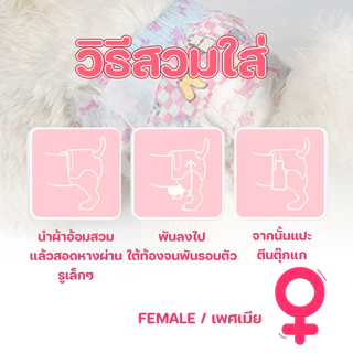 🐱พร้อมส่ง🐱 Happy Purr ผ้าอ้อมสุนัข ผ้าอ้อมสัตว์เลี้ยง 10 ชิ้น ดูดซึมซับได้ดี ช่วยฝึกขับถ่ายสุนัข สำหรับตัวเมีย S/M/L/XL