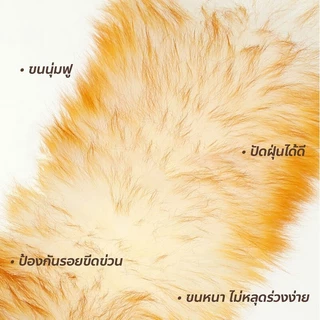 (รุ่นใหม่ 62cm) ไม้ปัดฝุ่นขนแกะแท้ แปรงปัดฝุ่นรถยนต์ ไม้ปัดฝุ่น ด้ามไม้ สำหรับทำความสะอาดบ้าน โต๊ะ ตู้ ไม่ทำลายพื้นผิว