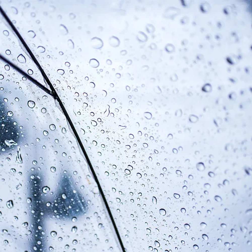 รูปภาพ 6