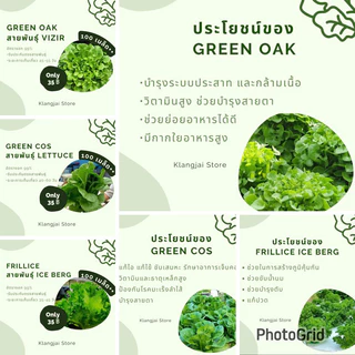 เมล็ดพันธ์ุผักสลัด 150-200 เมล็ด รับประกัน ตรงสายพันธุ์ อัตรางอก99% มีหลายแบบให้เลือก