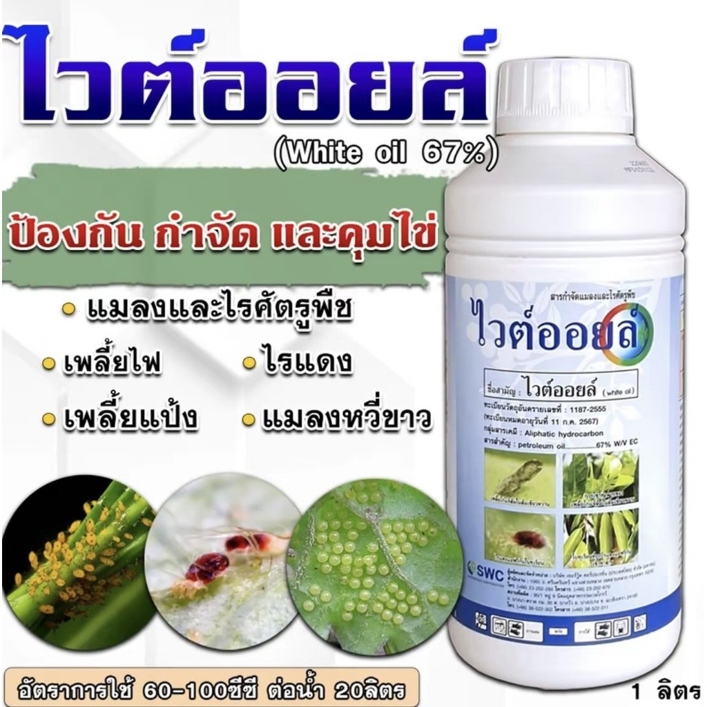 #ไวต์ออยล์ ป้องกันเพลี้ยหอย เพลี้ยไฟ เพลี้ยแป้ง #ร้านปุ๋ยดีเด่น