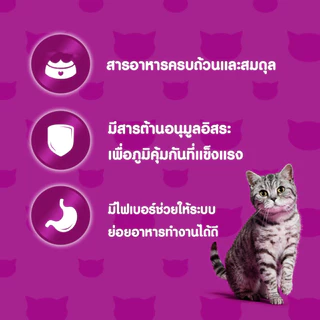 Whiskas อาหารเม็ดสำหรับแมว ขนาด 2.7 - 3kg