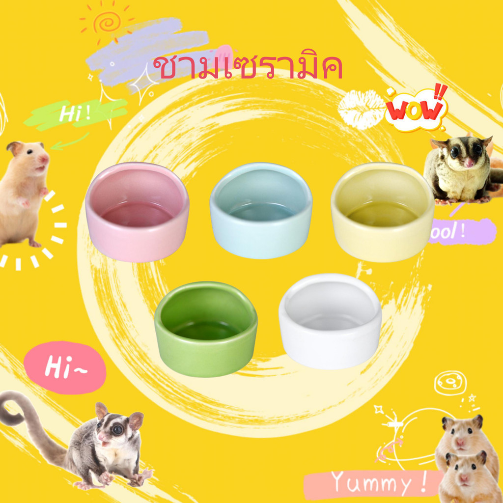 hasterth ชามอาหารหนูแฮมสเตอร์ ชามอาหารนกแก้ว ชามอาหารปากเอียง ที่ให้อาหารสัตว์เลี้ยง/food bowl