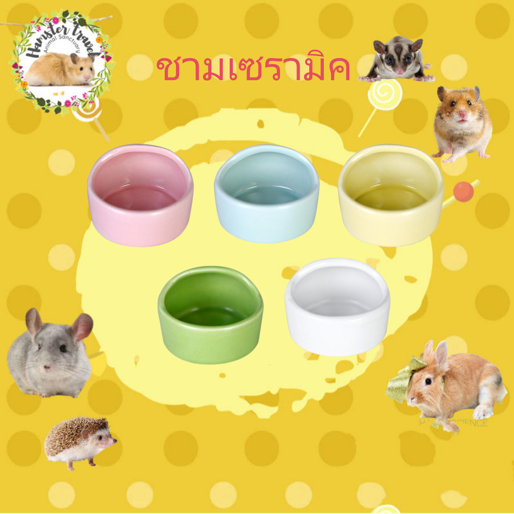 [hamstertravel]ชามอาหารหนูแฮมสเตอร์ ชามอาหารนกแก้ว ชามอาหารปากเอียง ที่ให้อาหารสัตว์เลี้ยง