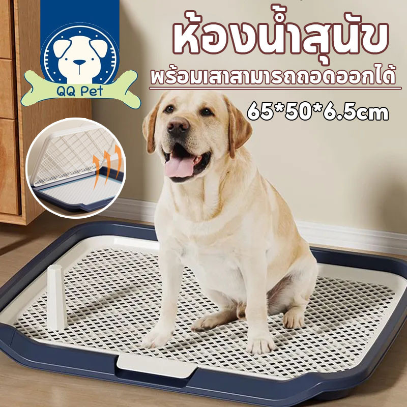 COD🐕‍🦺ห้องน้ำสุนัข ถาดรองฉี่หมา มีตะแกรงรองถาด แผ่นรองฉี่ ห้องน้ำสุนัข ถาดฉี่สุนัข พร้อมเสาสามารถถอดออกได้ 65*50*6.5cm