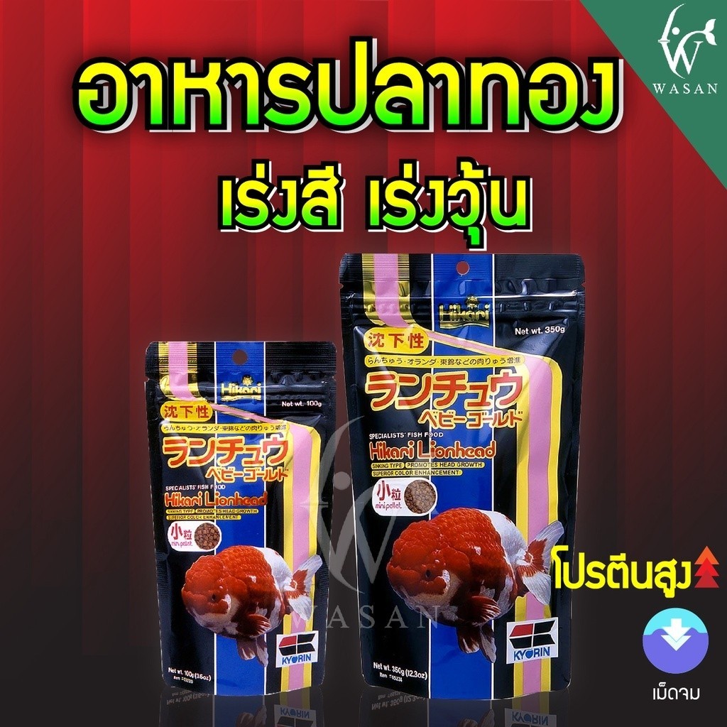อาหารปลา Hikari Lionhead ขนาด 350g อาหารสำหรับปลาทองหัวสิงห์ หัววุ้น ชนิดเม็ดจม เร่งวุ้น เร่งสี