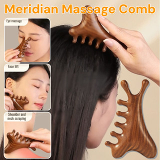 แปรงนวดไม้จันทน์ 4-in-1 | นวดหนังศีรษะ-กระตุ้นรากผม-ลดไฟฟ้าส…