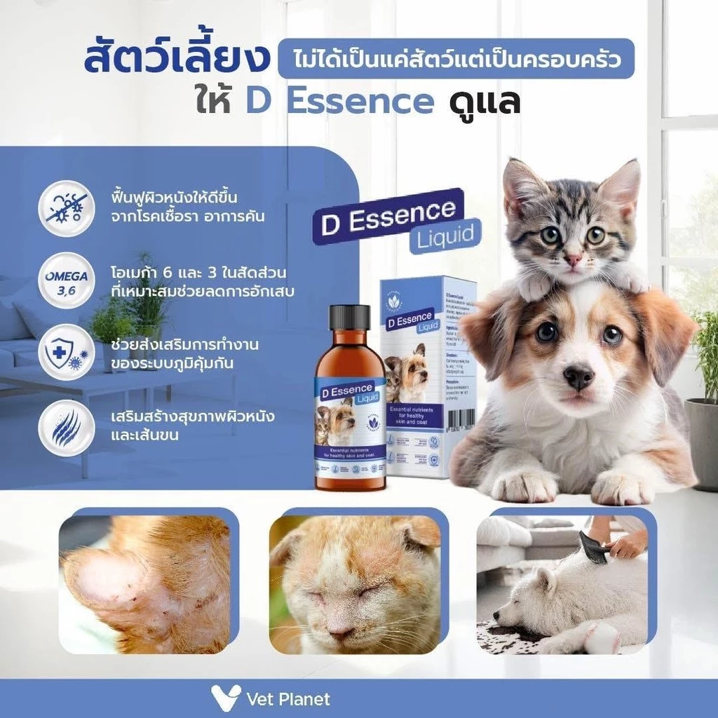 D Essence Liquid น้ำมันบำรุงผิวหนังและเส้นขน อร่อย ชนิดน้ำ แถมทิชชู่เปียกกลิ่น Original 20 แผ่น 1 ห่อ พร้อมส่ง thumbnail 4
