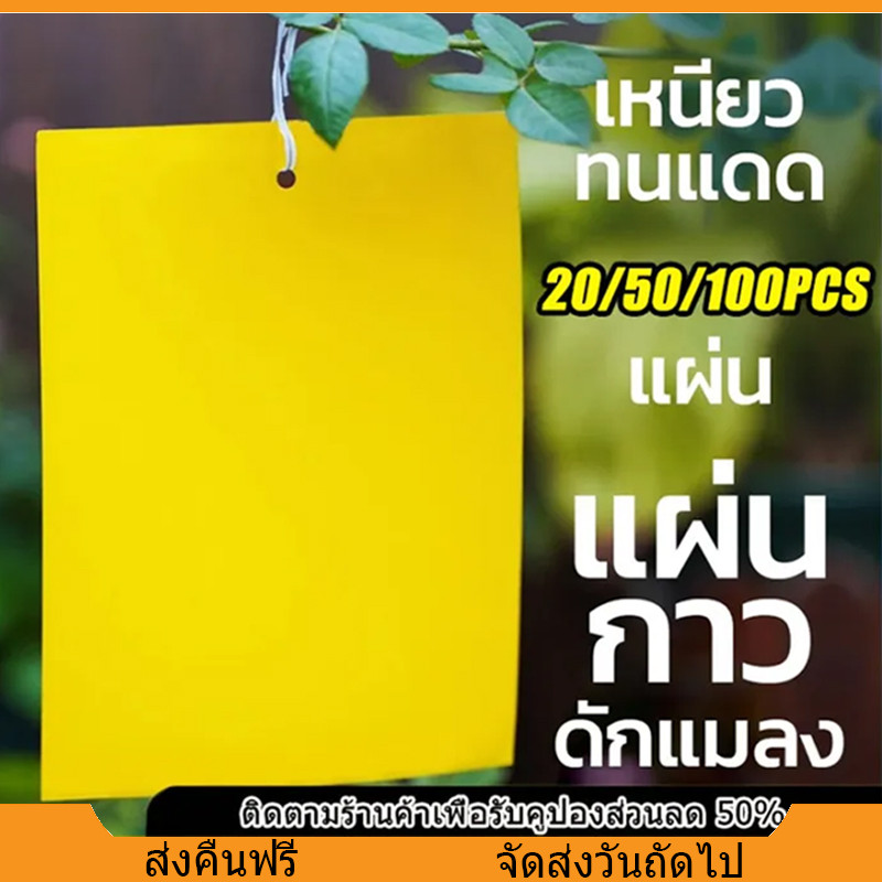 แผ่นกาวดักแมลง กาวทนแดดฝนรุ่นพิเศษ แผ่นกาวดักจับแมลง แพ็คละ20/50แผ่น สีเหลือง กาว2หน้า กระดาษจับแมลง