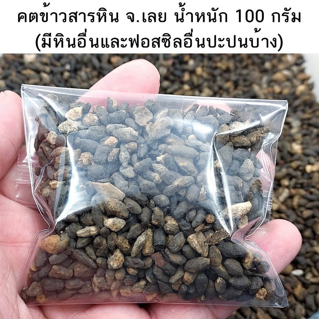 คตข้าวสารดำ หรือข้าวสารหินดำ ฟอสซิล จ.เลย ถุงละ 100กรัม